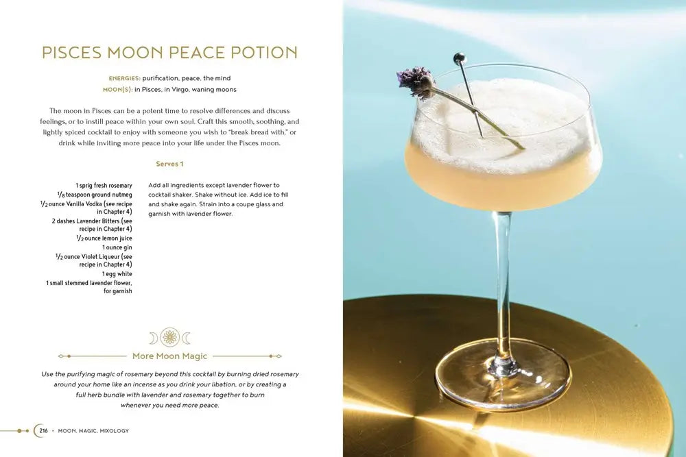 Moon, Magic, Mixology ☾✩☽