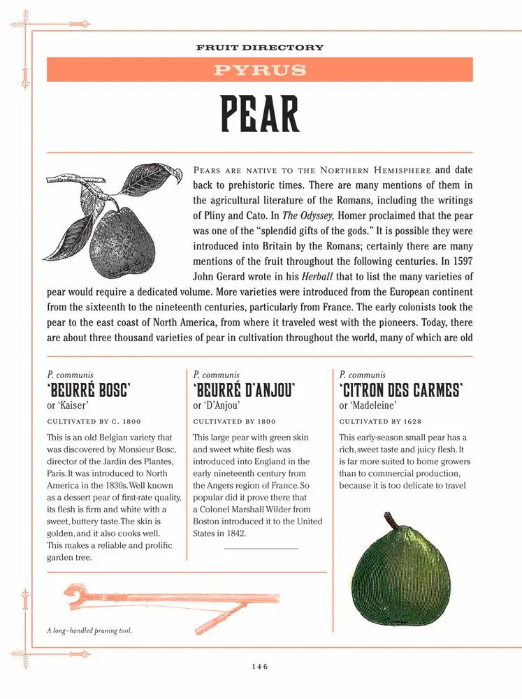 Heirloom Plant | Hardcover