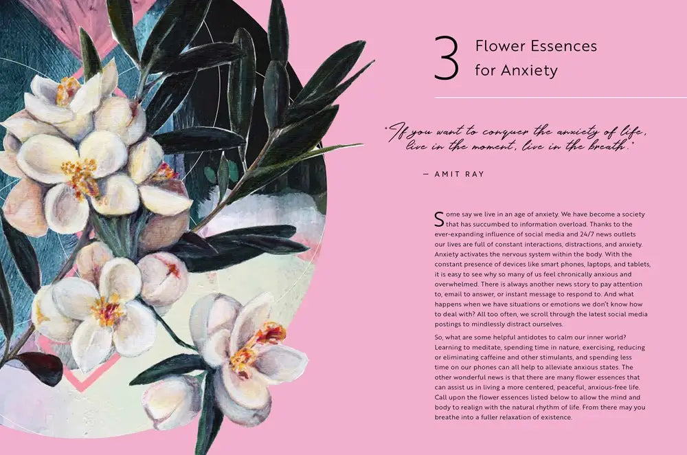 The Healing Guide to Flower Essences | Paperback